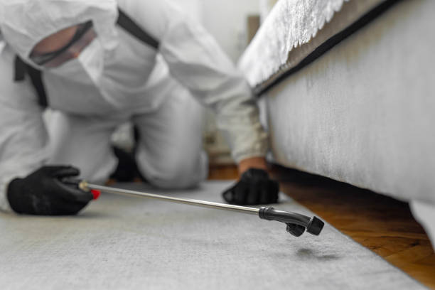 Professional Bed Bug Control technician working in Mukilteo, WA
