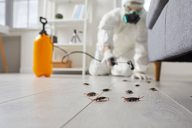 Trusted Cockroach Control service in Mukilteo, WA - Nex Pest Control